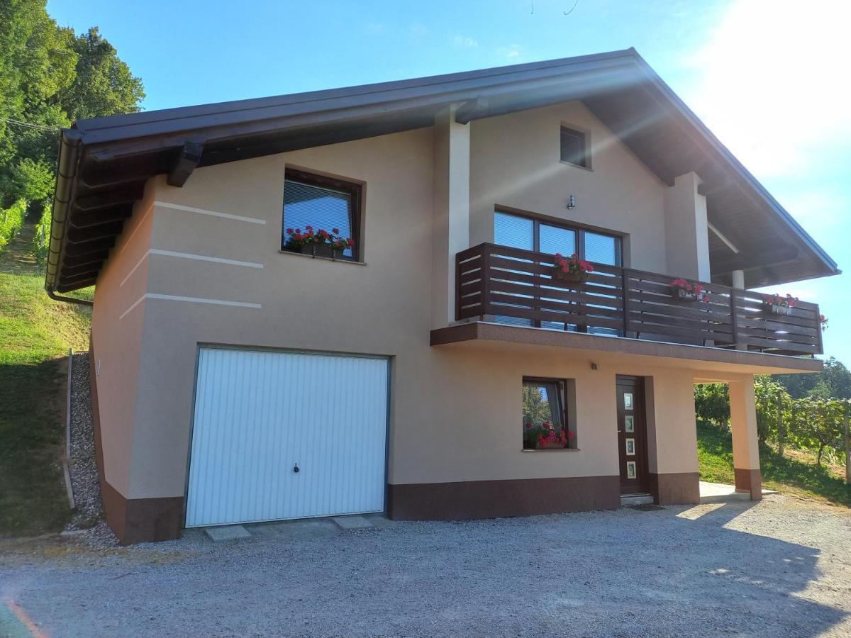 Nastanitev Nika Apartment Rogaška Slatina Exterior foto