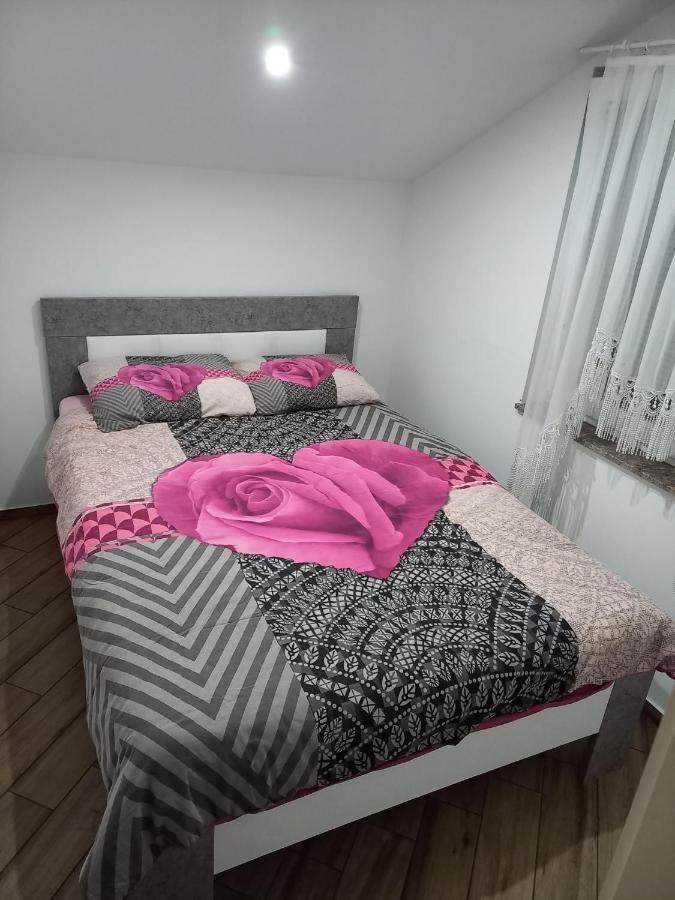 Nastanitev Nika Apartment Rogaška Slatina Exterior foto